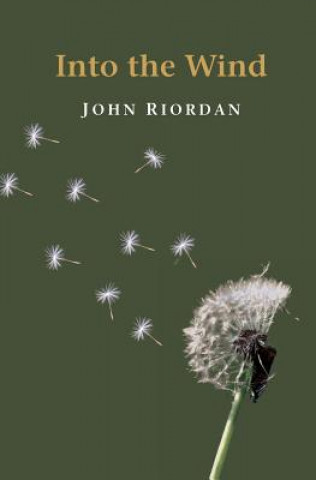 Knjiga Into the Wind Sean O'Riordan