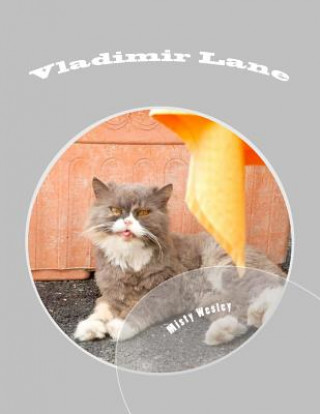 Buch Vladimir Lane Misty Lynn Wesley