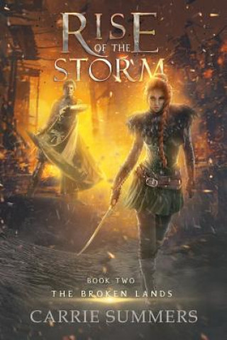 Kniha Rise of the Storm Carrie Summers