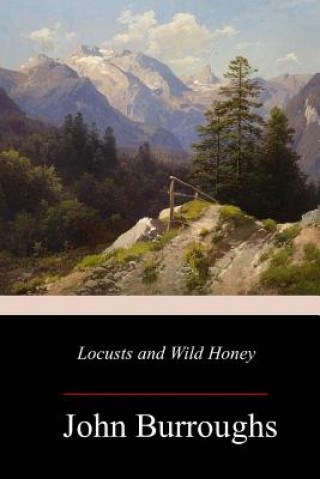 Könyv Locusts and Wild Honey John Burroughs