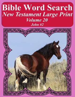 Buch Bible Word Search New Testament Large Print Volume 20: John #2 T W Pope