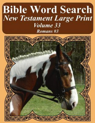 Książka Bible Word Search New Testament Large Print Volume 33: Romans #3 T W Pope