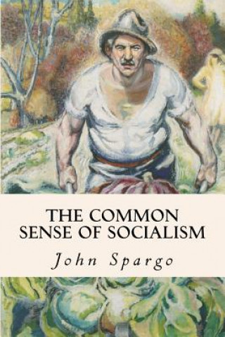 Carte The Common Sense of Socialism John Spargo