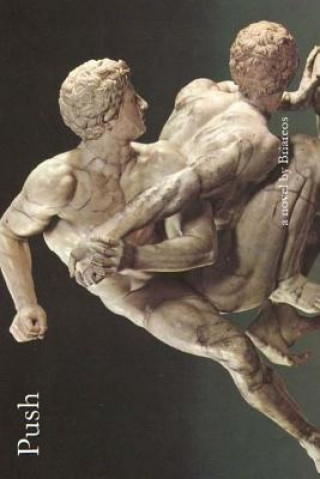 Knjiga Push Briareos