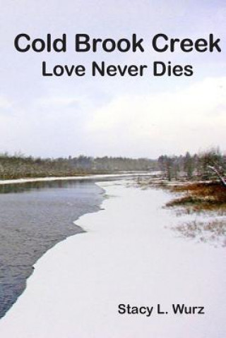 Könyv Cold Brook Creek: Love Never Dies Stacy Lynn Wurz