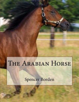 Könyv The Arabian Horse Spencer Borden