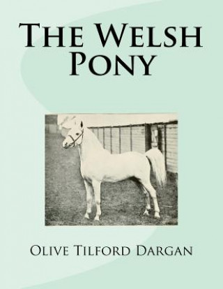 Carte The Welsh Pony Olive Tilford Dargan