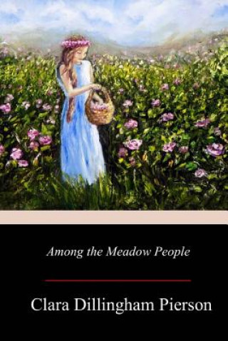 Buch Among the Meadow People Clara Dillingham Pierson