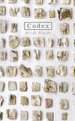 Knjiga Codex Micah Bloom
