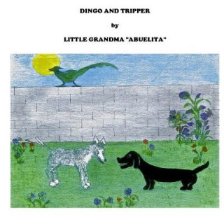 Knjiga Dingo and Tripper Angie T Carlson