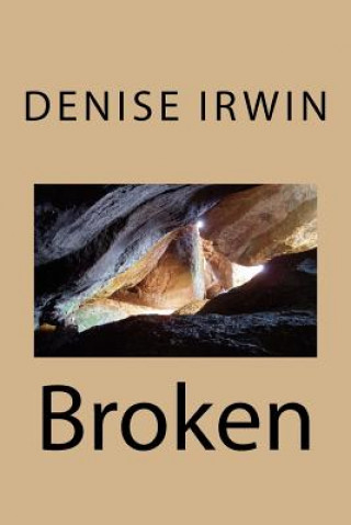 Knjiga Broken Denise M Irwin