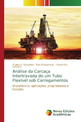 Kniha Analise da Carcaca Intertravada de um Tubo Flexivel sob Carregamentos Virgínia S. Gonçalves