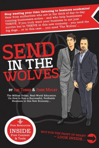 Buch Send in The Wolves: The Million Dollar, Real-World Education On How To Run A Successful, Profitable Business In This NEW Economy... MR John Mulry