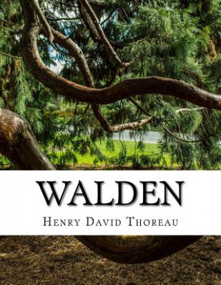 Książka Walden Henry David Thoreau