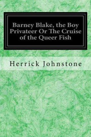 Book Barney Blake, the Boy Privateer Or The Cruise of the Queer Fish Herrick Johnstone