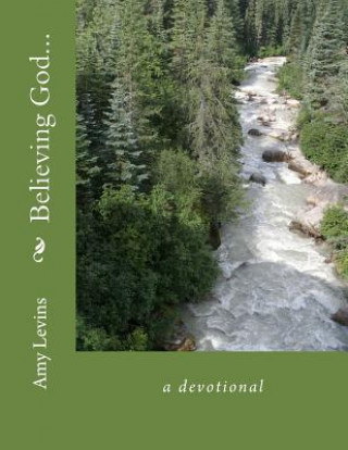 Kniha Believing God...: A Devotional Amy Levins