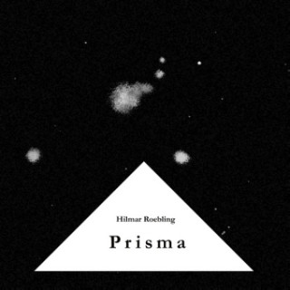 Libro Prisma Hilmar Roebling