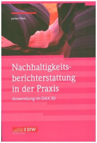 Carte Nachhaltigkeitsberichterstattung in der Praxis - Anwendung im DAX 30 Jochen Theis