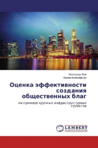Kniha Ocenka jeffektivnosti sozdaniya obshhestvennyh blag Alexandr Zhuk