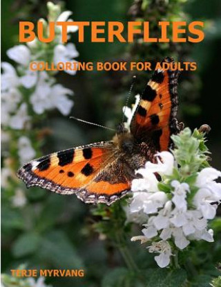 Kniha Butterflies: Coloring Book for Adults Terje Myrvang