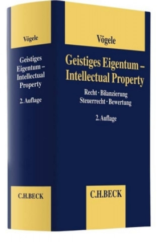 Knjiga Intangibles - Immaterielle Werte Alexander Vögele