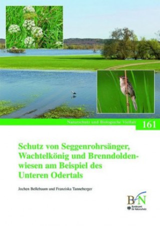 Könyv Schutz von Seggenrohrsänger, Wachtelkönig und Brenndoldenwiesen am Beispiel des Unteren Odertals Jochen Bellebaum