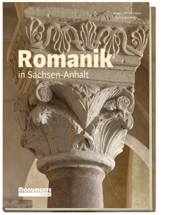 Buch Dr. Pfotenhauer, A: Romanik Angela Dr. Pfotenhauer