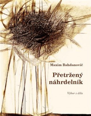 Kniha Přetržený náhrdelník: výbor z díla Maxim Bahdanovič