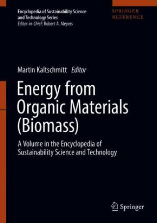 Könyv Energy from Organic Materials (Biomass) Martin Kaltschmitt