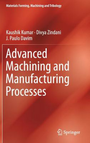 Kniha Advanced Machining and Manufacturing Processes Kaushik Kumar