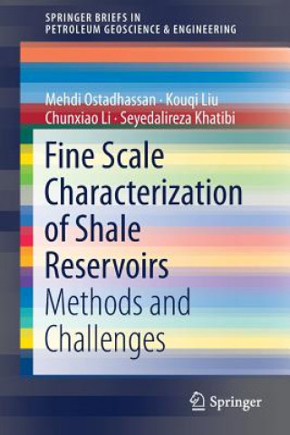 Kniha Fine Scale Characterization of Shale Reservoirs Mehdi Ostadhassan