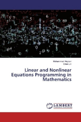 Könyv Linear and Nonlinear Equations Programming in Mathematics Mohammad Heydari