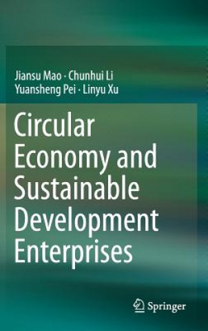 Kniha Circular Economy and Sustainable Development Enterprises Jiansu Mao