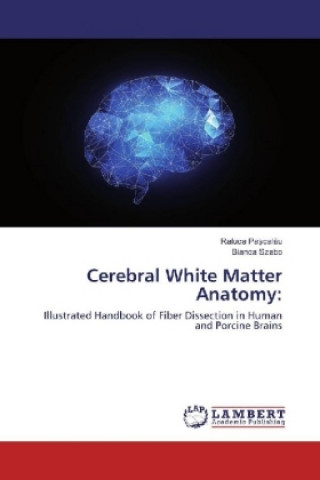Buch Cerebral White Matter Anatomy: Raluca Pa?calau