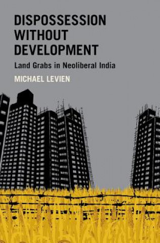 Kniha Dispossession without Development Levien