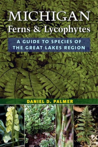Carte Michigan Ferns and Lycophytes Daniel D. Palmer
