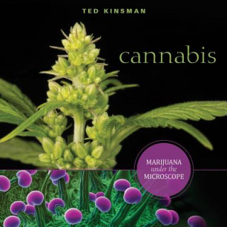 Könyv Cannabis: Marijuana under the Microscope Ted Kinsman
