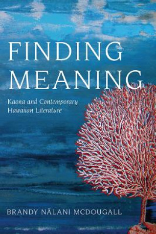 Kniha Finding Meaning Brandy Nalani McDougall
