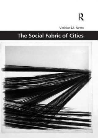 Livre Social Fabric of Cities Vinicius M. Netto