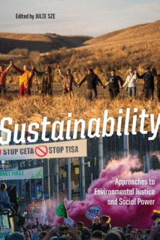 Libro Sustainability 