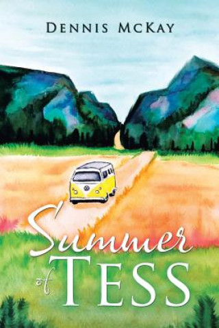 Kniha Summer of Tess DENNIS MCKAY