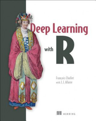 Könyv Deep Learning with R Francois Chollet