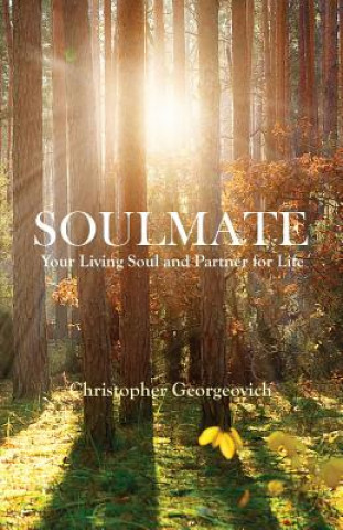 Книга Soulmate Christopher Georgeovich