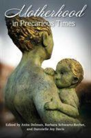 Knjiga Motherhood in Precarious Times 