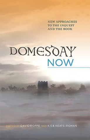 Libro Domesday Now David Roffe