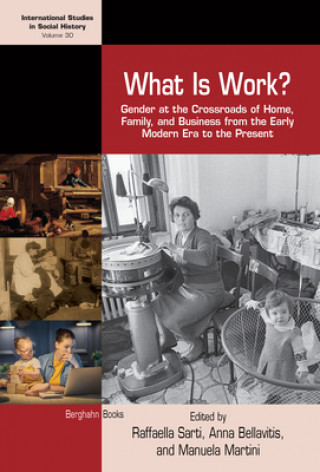 Knjiga What is Work? Anna Bellavitis