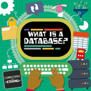 Kniha What is a Database? Kirsty Holmes