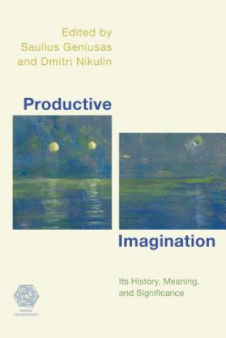 Buch Productive Imagination SAULIUS GENIUSAS