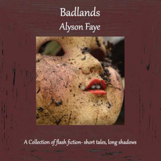 Kniha Badlands ALYSON FAYE