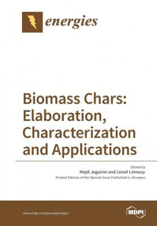 Kniha Biomass Chars MEJDI JEGUIRIM